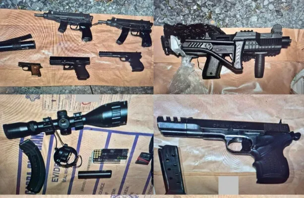 11 armes de qualité militaire saisies dans des raids à Kildare et Laois