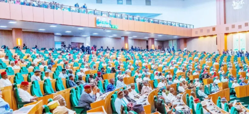 12 députés nigérians perdent les primaires de l'APC pour 2027