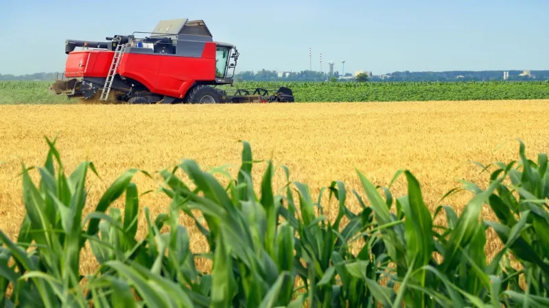 L'ADA approuve 125 projets agricoles sur 5 877 ha en 2025