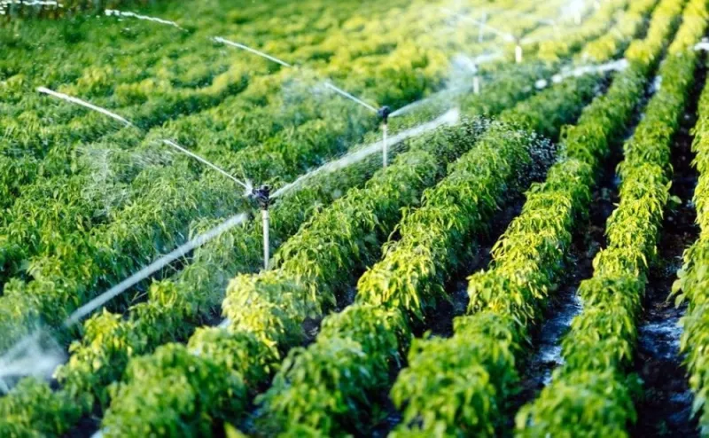 La BAD soutient la transition agricole de précision au Maroc