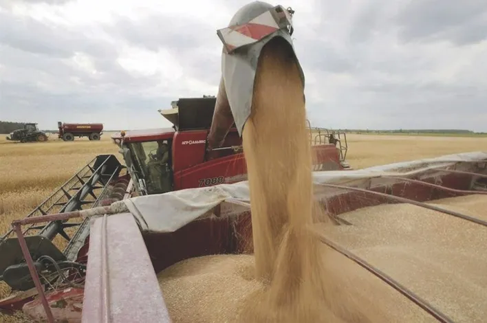 Souveraineté alimentaire en Afrique : le rôle du Maroc