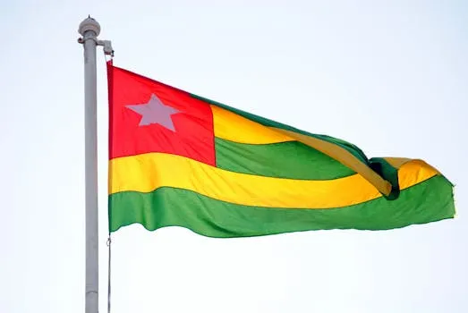 L'Afrique cherche la souveraineté sanitaire face à Ebola et hantavirus