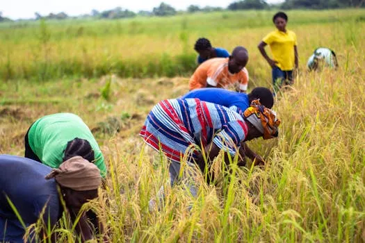 Les ministres africains de l'Agriculture se réunissent au SIAM 2026 à Meknès