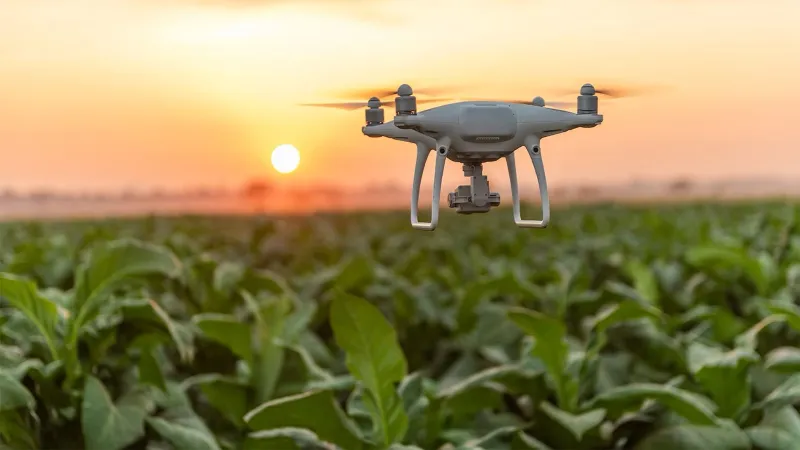 Révolution AgriTech : Faits vérifiés sur l'agriculture de précision