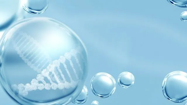 L'IA décode l'ascendance génétique à partir de l'ADN