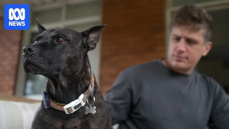 Vaccin anticancéreux pour chien conçu par IA freiné par la réglementation