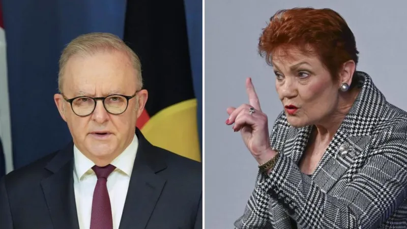 Albanese critique One Nation après le discours de Hanson