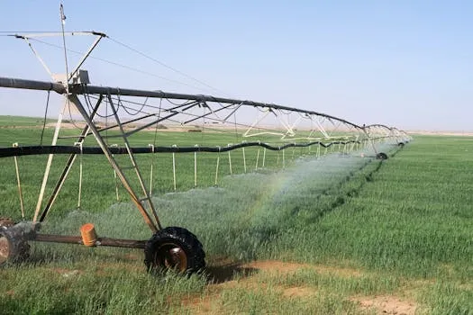 Algérie : Plus de 366 000 hectares convertis à l'irrigation localisée