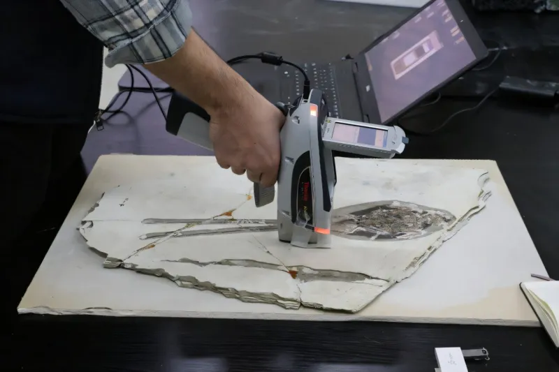 Un oiseau ancien utilisait ses plumes de queue pour attirer les partenaires