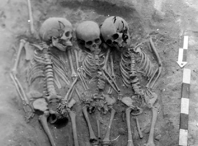 Peste antique découverte dans des dents de chasseurs-cueilleurs sibériens