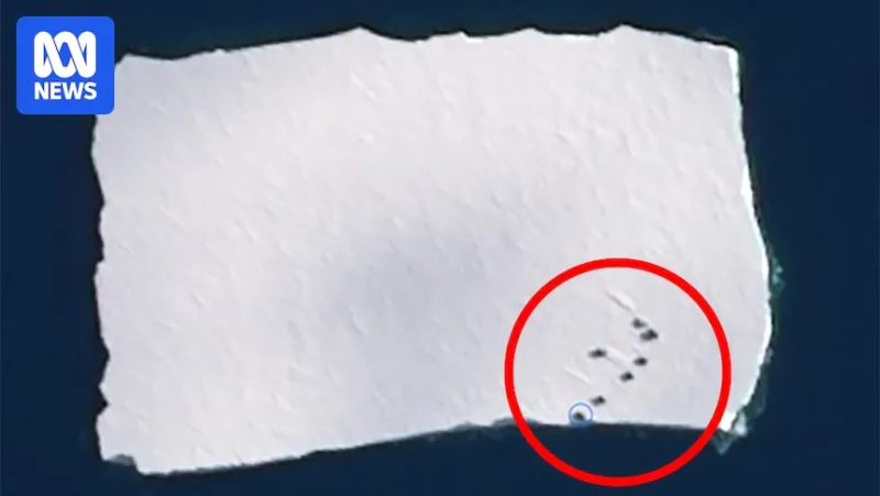 Conteneurs de station antarctique dérivent sur un iceberg après une tempête