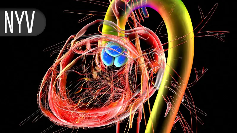 Diagnostic de sténose aortique s'améliore, retards de traitement persistent