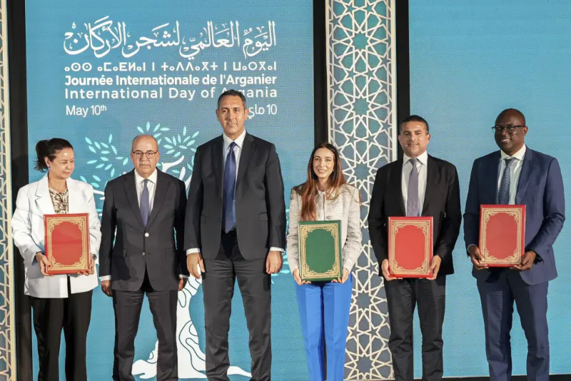 Arganier : résilience climatique et promesse économique au Maroc