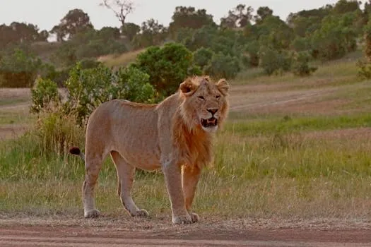 Le roi Bamasaba en visite au Kenya pour renforcer les liens transfrontaliers