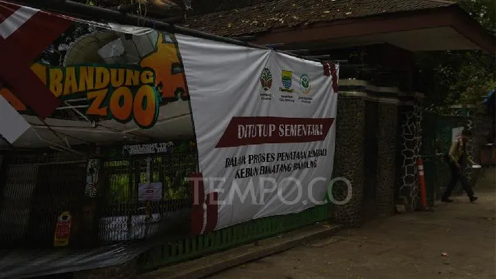 Le zoo de Bandung fait face à la relocalisation des animaux