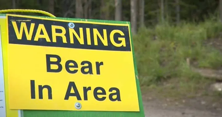 Avertissements d'ours émis pour les sentiers de Kananaskis