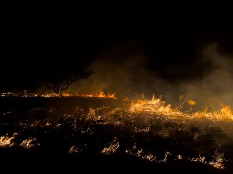 Berkeley lance l'initiative EMBER contre les incendies