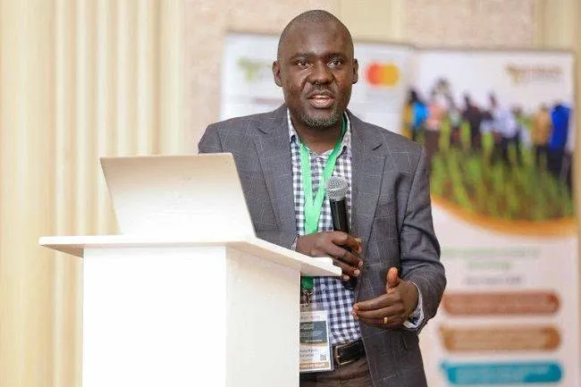 Botswana Safflower Farming Boosts Food Security