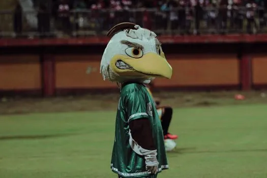 Les Broncos mettent en garde contre une arnaque aux auditions de mascotte