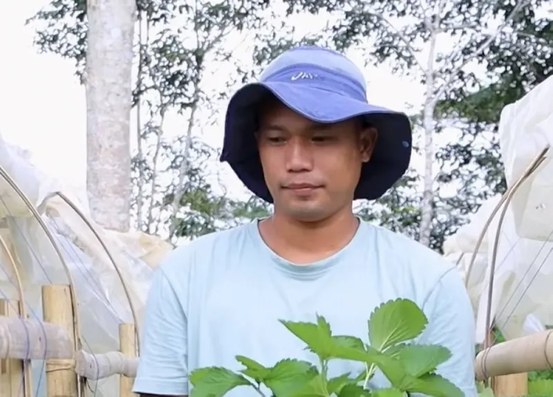 L'agriculture de Butuan City soutient le succès d'un producteur de baies