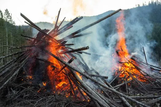 La fermeture de Canfor aggrave la crise forestière en C.-B.