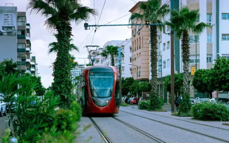 Casablanca : des promoteurs immobiliers rencontrent des candidats avant les élections