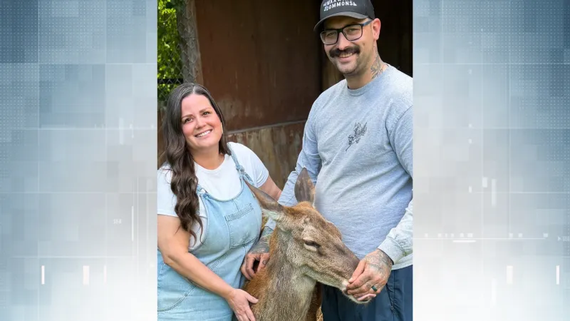 L'ACIA enquête sur le retrait de cerfs à Marineland