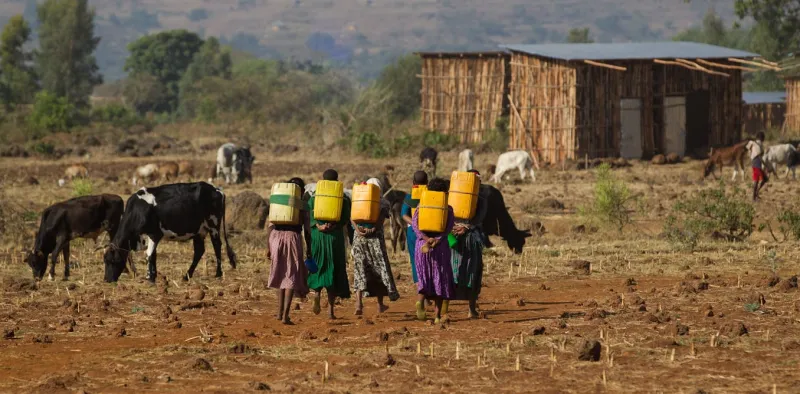 Les pressions climatiques aggravent les violences faites aux femmes