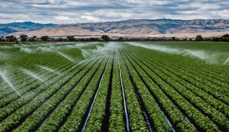 L'agriculture climato-intelligente : une nécessité pour la sécurité alimentaire