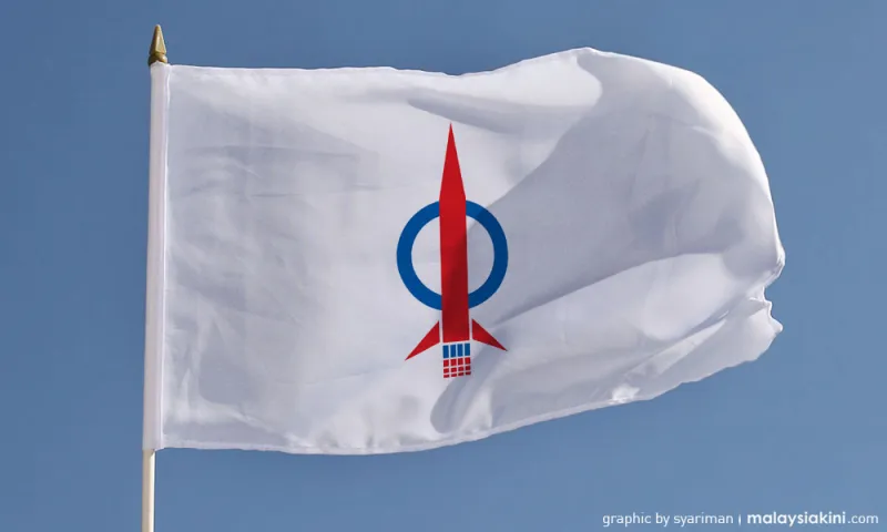 Avenir politique du DAP : leadership faible ou erreurs stratégiques ?