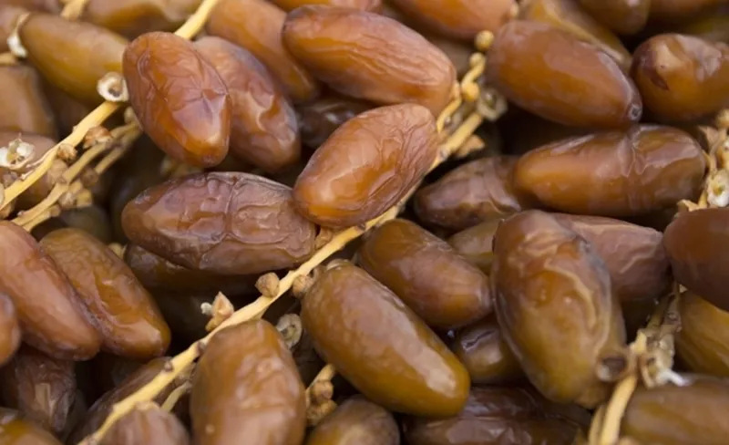 Exportations de dattes en hausse de 5,6% en volume et recettes à fin avril 2026