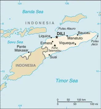 Épidémie de diphtérie contenue au Timor-Leste