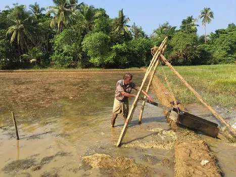L'œuvre environnementale du Dr Dharmadhikari en NC