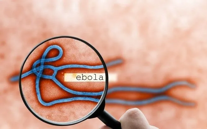 Épidémie d'Ebola en RDC : 2 011 morts, 4 381 cas