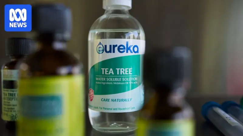 Une proposition de l'UE menace les exportations australiennes d'huile d'arbre à thé
