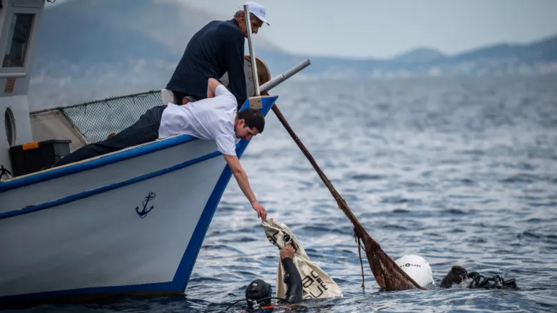 Fish Migration to Morocco Cuts Spanish Catches by 90%