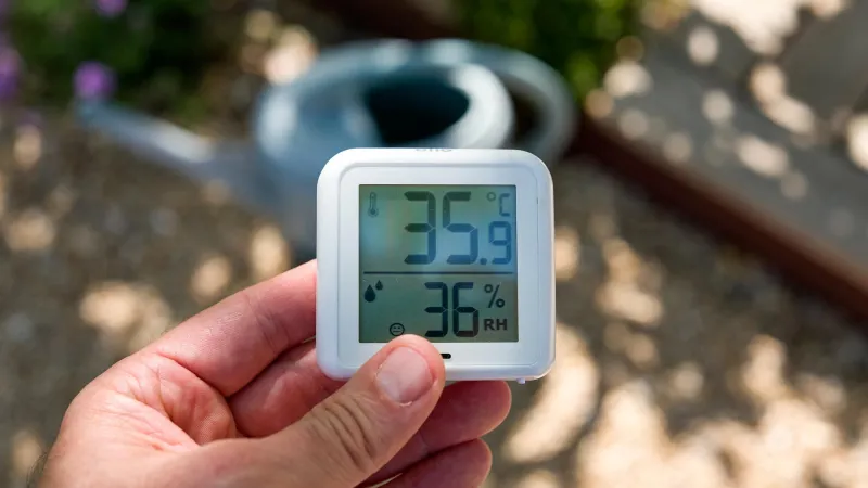 Alerte canicule en France : les seuils de Météo France