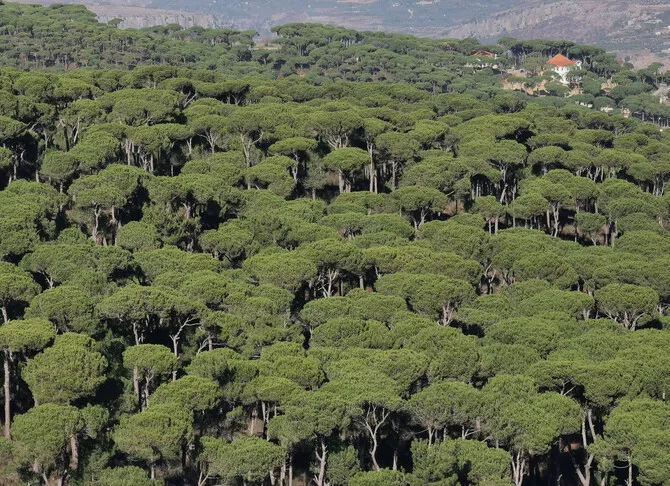 La France met en avant sa coopération avec le Maroc sur l'eau et les forêts