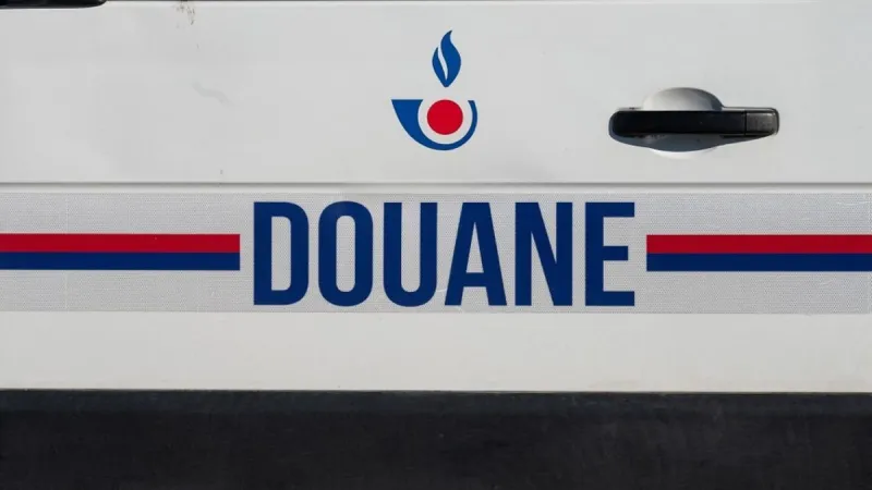 Saisies majeures d'objets culturels par les douanes françaises