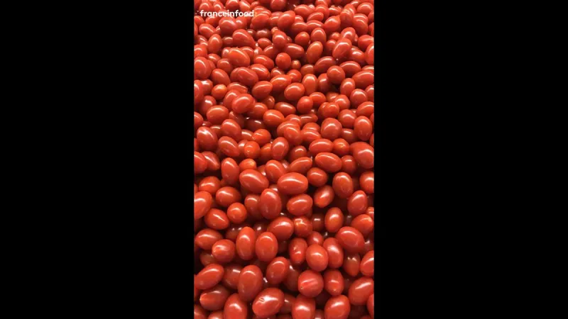 Tomates cerises à 0.99€ : les producteurs français contre-attaquent