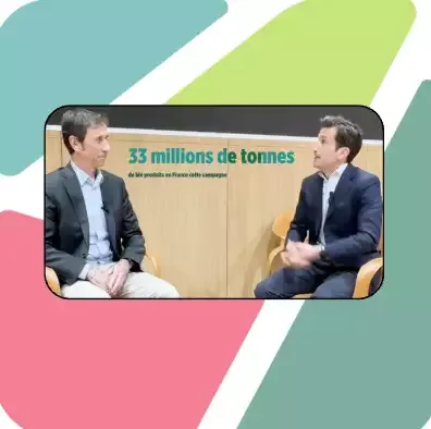 Moisson de blé 2025-2026 : fin positive en France