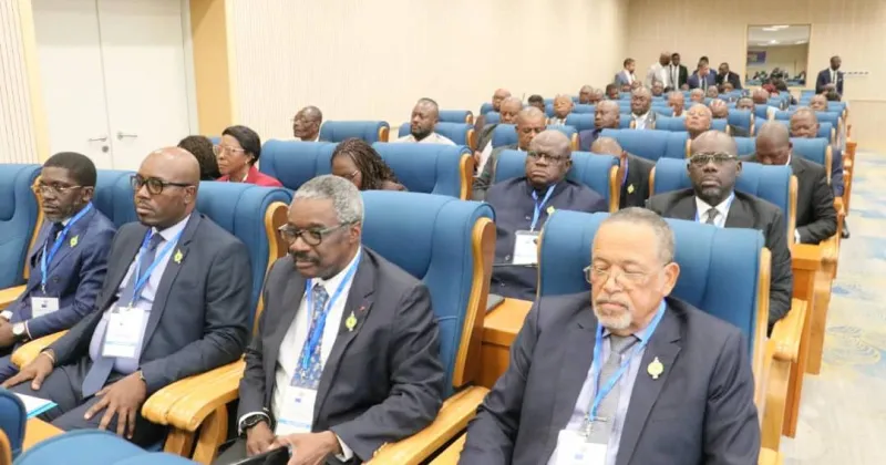 Gabon : formation des députés à la rédaction d'amendements et à l'éthique