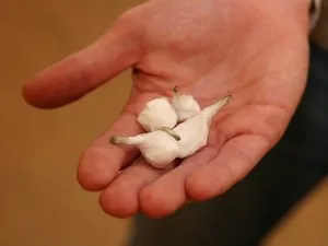 Usage de drogues en hausse : 292 millions de consommateurs