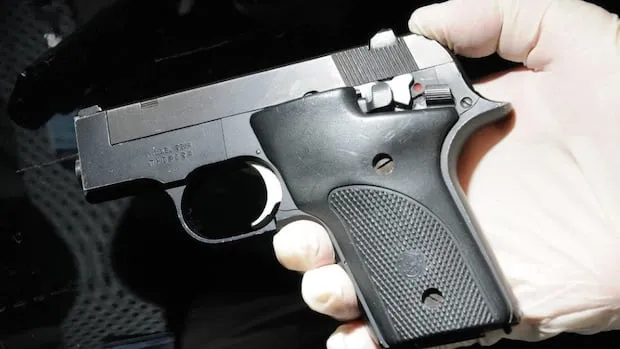 Hausse des taux de violence conjugale par arme à feu : StatsCan