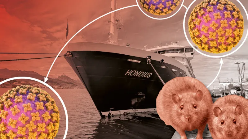 Hantavirus : un test pour la coopération sanitaire mondiale