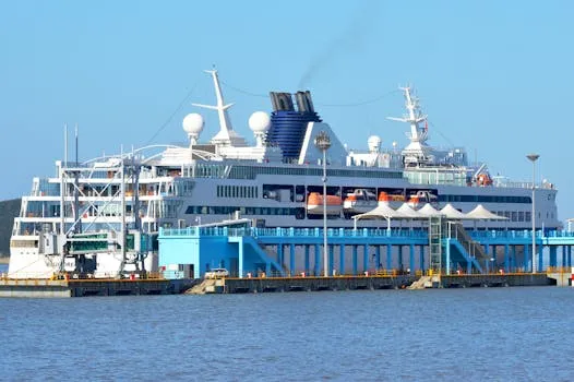 Épidémie de hantavirus sur un navire de croisière : deux membres d'équipage évacués