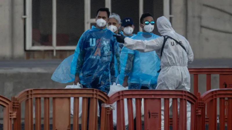 Épidémie de hantavirus : Ushuaia nie être la source des cas sur un navire de croisière