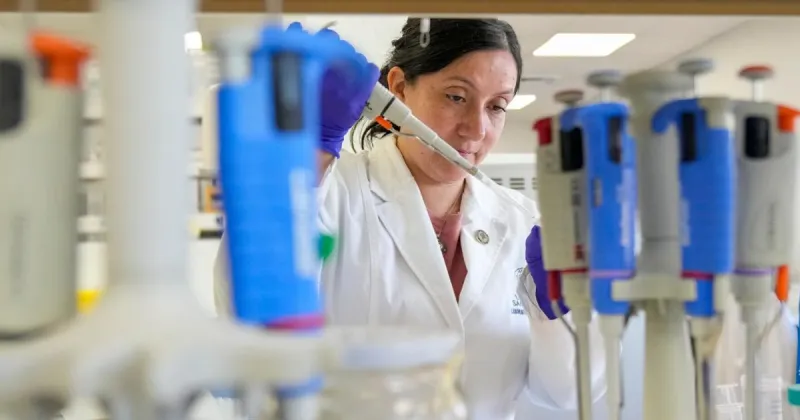 Traitement contre l'hantavirus prometteur malgré le manque de fonds
