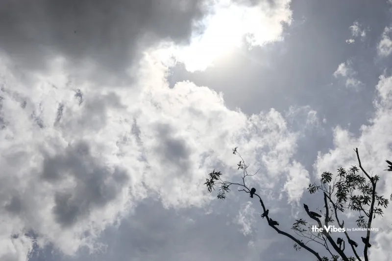 Canicule : 56 cas, 2 décès signalés