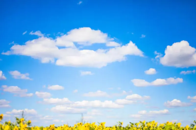 Alerte canicule au Maroc à partir du 28 juillet